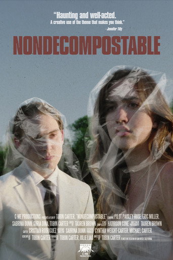 Nondecomposable movie poster