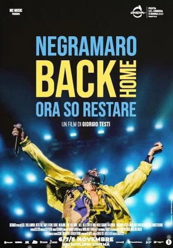 Negramaro Back Home - Ora so restare movie poster
