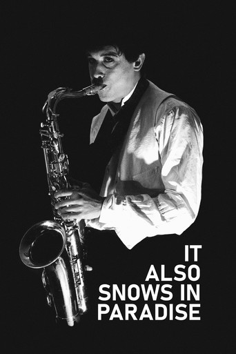It Also Snows in Paradise movie poster
