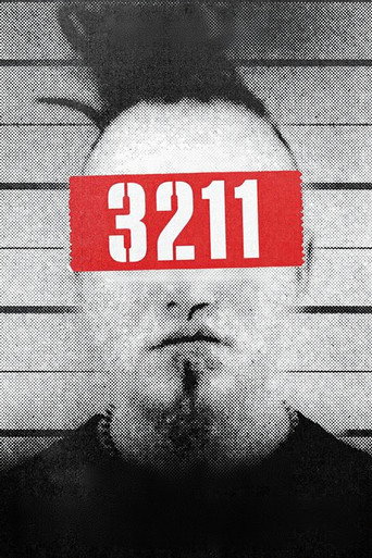 3211 movie poster