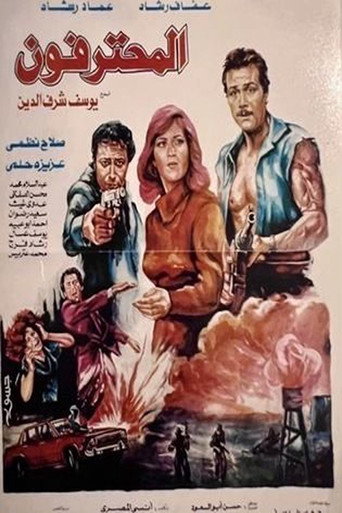 The Professionals movie poster