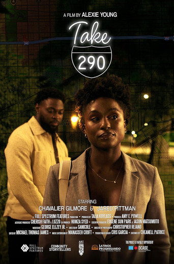 Take 290 movie poster