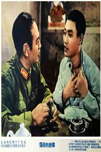 伤疤的故事 movie poster