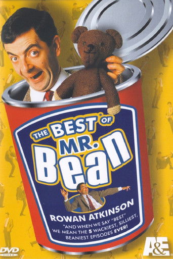 The Best of Mr. Bean movie poster