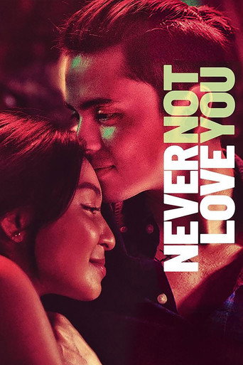 Never Not Love You movie poster