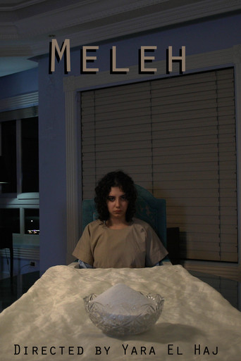 Salt movie poster