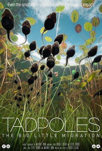 Tadpoles: The Big Little Migration movie poster