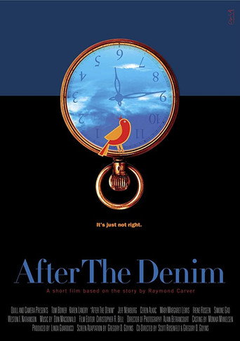 After the Denim movie poster