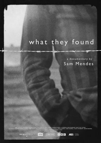 What They Found movie poster