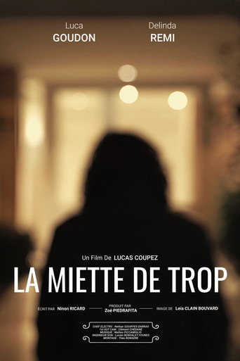 La Miette De Trop movie poster