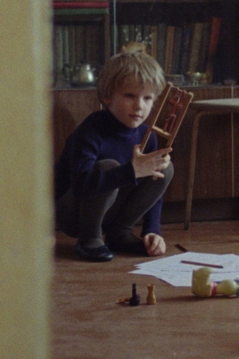 Son or the Kaleidoscope movie poster