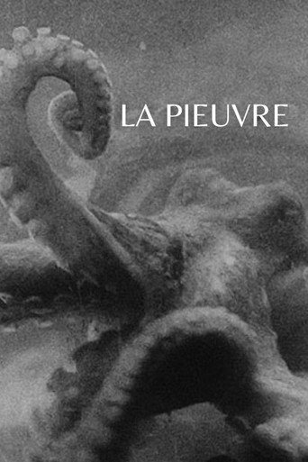 The Octopus movie poster