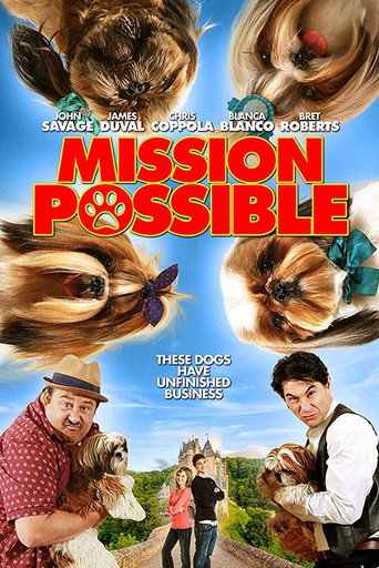 Mission Possible movie poster
