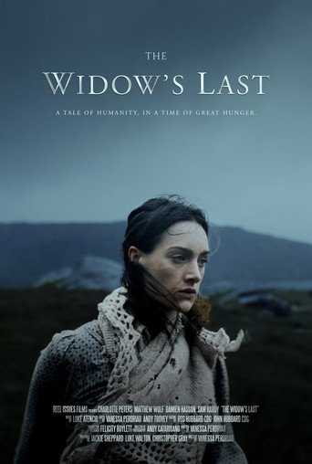 The Widow's Last movie poster