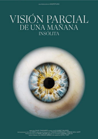 Visión Parcial de una Mañana Insólita movie poster
