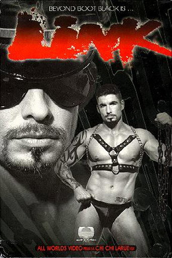 Link movie poster