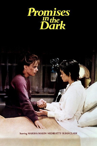 Promises in the Dark movie poster