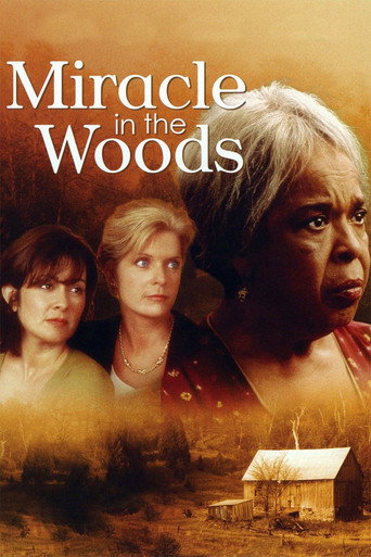 Miracle in the Woods movie poster