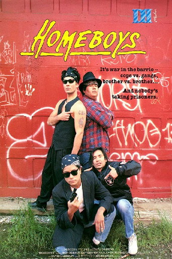 Homeboys movie poster