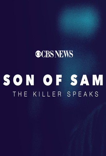 Son of Sam: The Killer Speaks movie poster