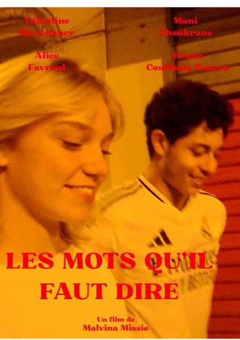 Les mots qu'il faut dire movie poster