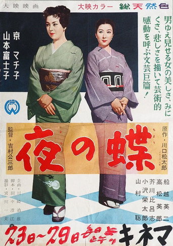 Night Butterflies movie poster