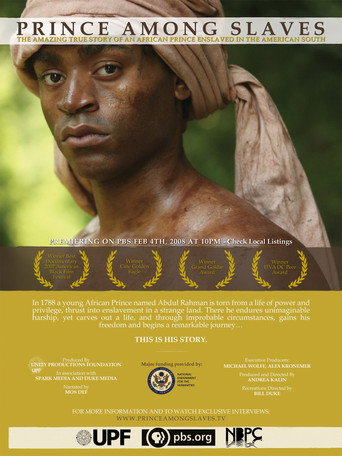 Prince Among Slaves movie poster