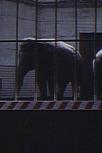 Elephants: Fragments in an Argument movie poster