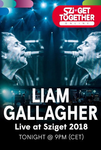 Liam Gallagher au Sziget Festival movie poster