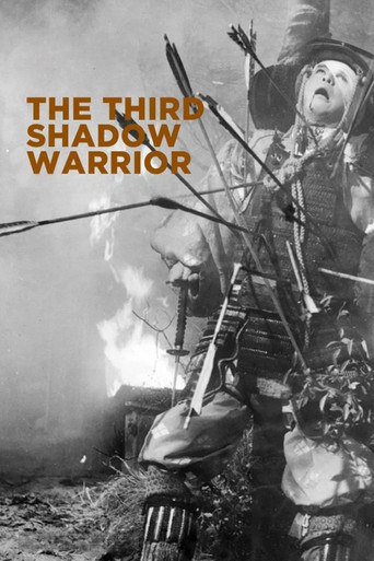 The Third Shadow Warrior movie poster