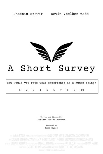A Short Survey movie poster
