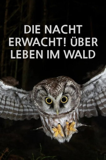 Die Nacht erwacht! Über Leben im Wald movie poster