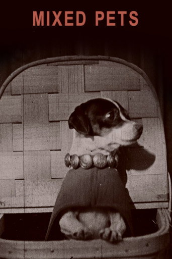 Mixed Pets movie poster