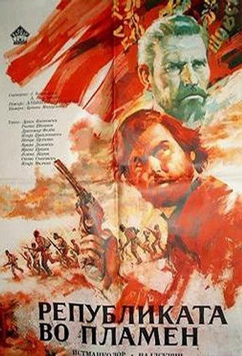 Republic in Flames movie poster