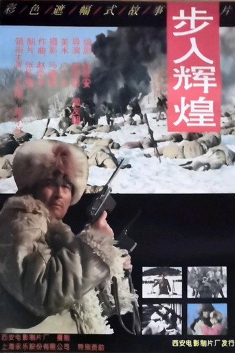 步入辉煌 movie poster