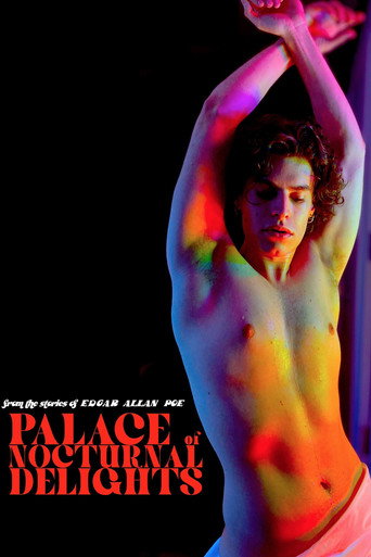Palace of Nocturnal Delights movie poster