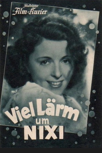 Much Ado About Nixi movie poster