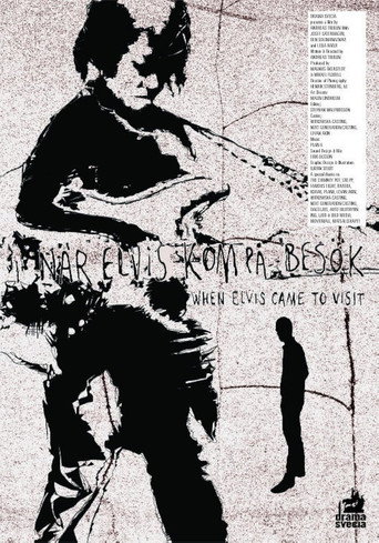When Elvis Came to Visit movie poster