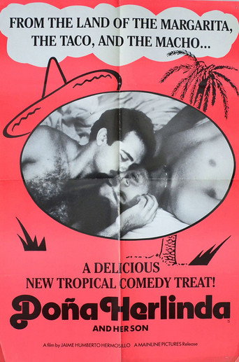 Doña Herlinda and Her Son movie poster