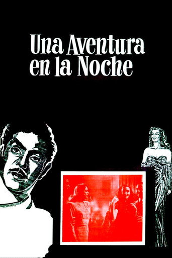 An Adventure in the Night movie poster