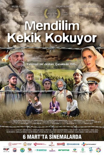 Mendilim Kekik Kokuyor movie poster