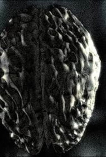 Headcleaner movie poster