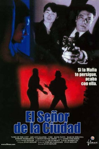 Lord of the City movie poster