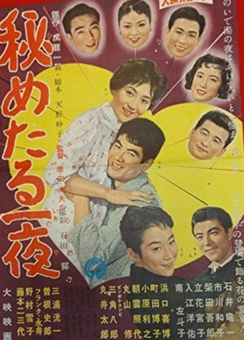 A Secret Night movie poster