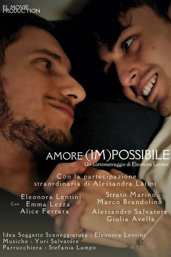 (Im)Possible Love movie poster