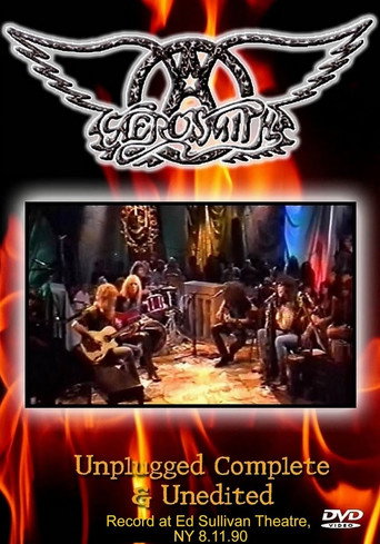 Aerosmith: MTV Unplugged movie poster
