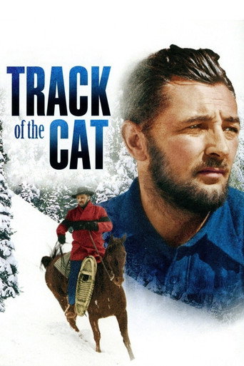 Track of the Cat movie poster