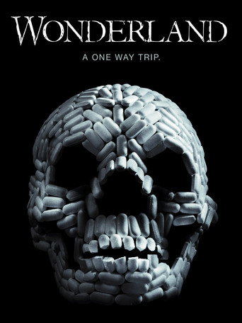 VIViD movie poster
