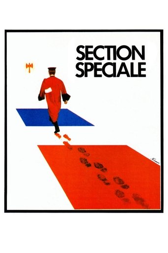 Special Section movie poster