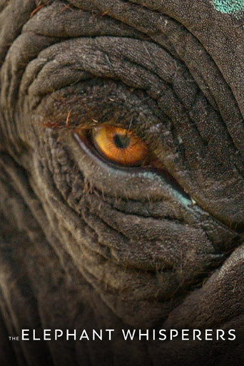 The Elephant Whisperers movie poster